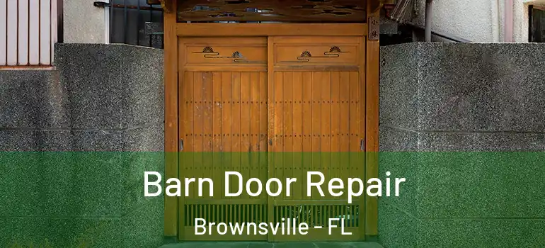  Barn Door Repair Brownsville - FL