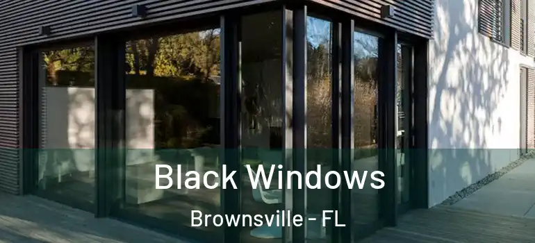  Black Windows Brownsville - FL