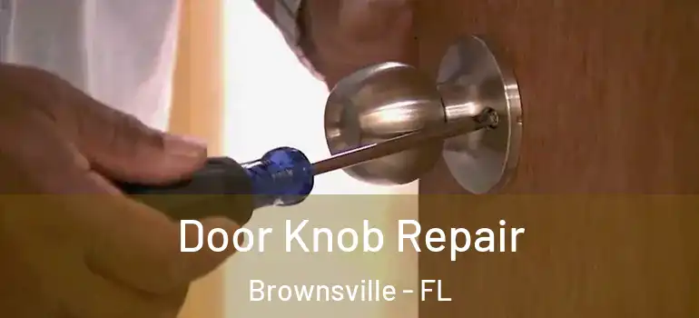  Door Knob Repair Brownsville - FL
