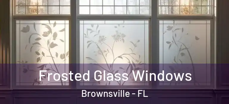  Frosted Glass Windows Brownsville - FL