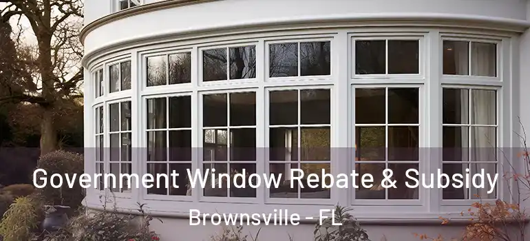  Government Window Rebate & Subsidy Brownsville - FL