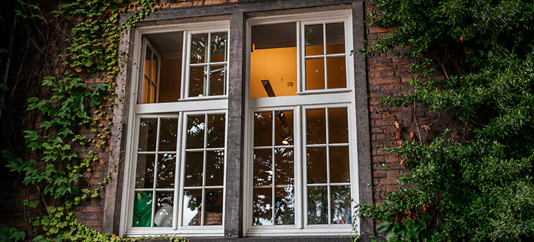 Energy Efficient Wood Windows in Brownsville, FL