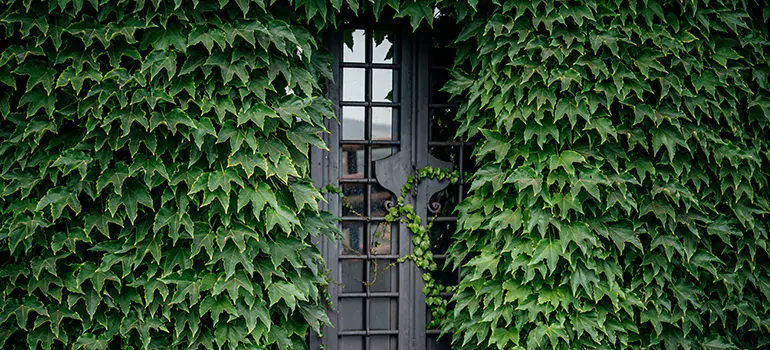 Garden Gate Repair in Brownsville, FL