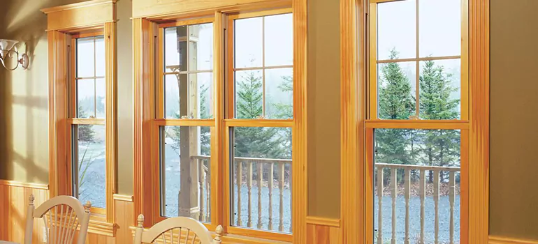 Government Incentives For Replacement Windows in Brownsville, FL