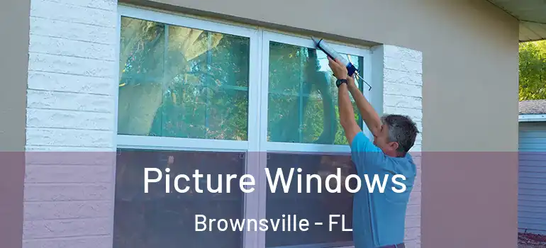  Picture Windows Brownsville - FL