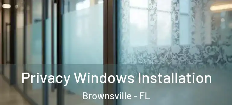  Privacy Windows Installation Brownsville - FL