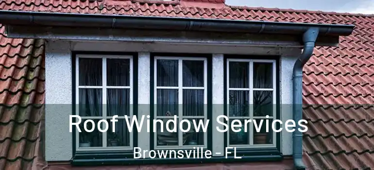  Roof Window Services Brownsville - FL