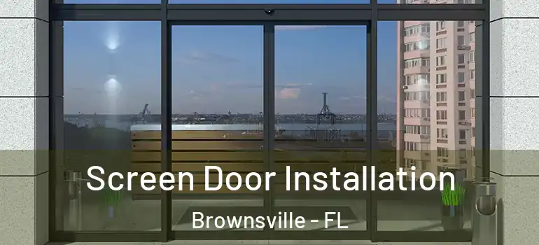  Screen Door Installation Brownsville - FL