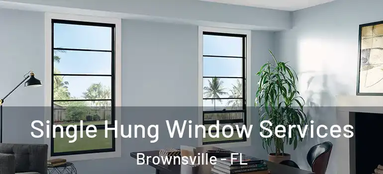  Single Hung Window Services Brownsville - FL
