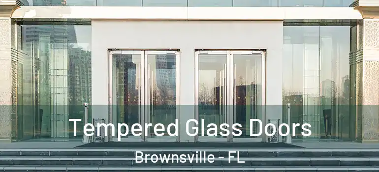  Tempered Glass Doors Brownsville - FL