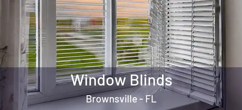  Window Blinds Brownsville - FL