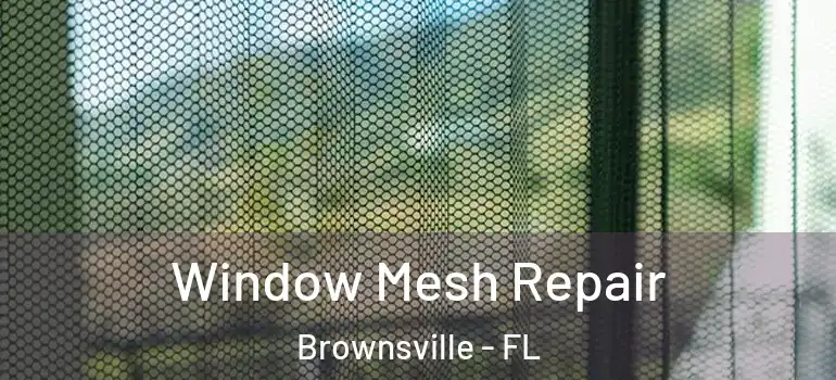  Window Mesh Repair Brownsville - FL