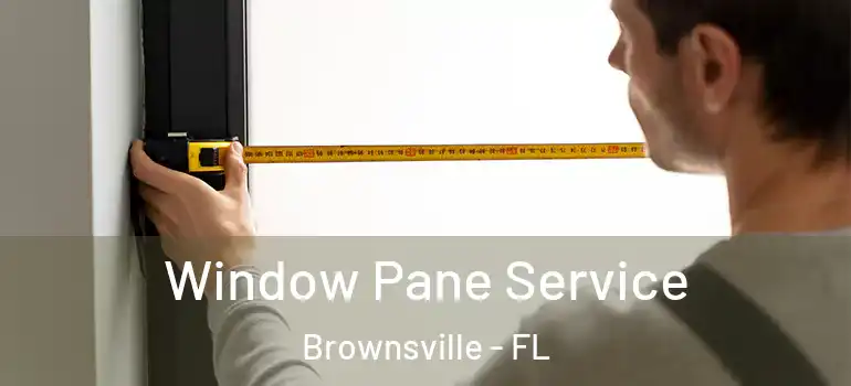  Window Pane Service Brownsville - FL